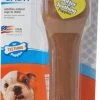 NylaBone Puppy Chew Bone L