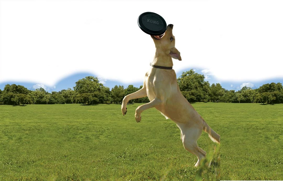 Kong Extreme Flyer - Afbeelding 3