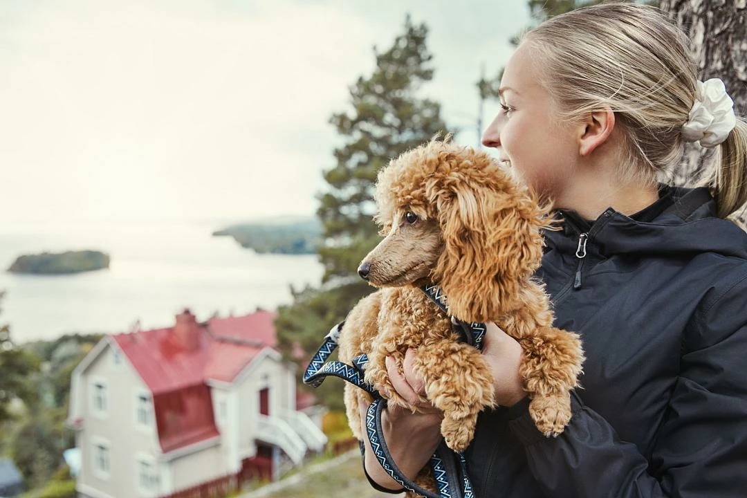 Hurtta Hondenlijn Standard Razzle Dazzle Blackberry - Afbeelding 3