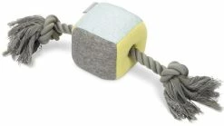 Beeztees Puppy Kubus Kubi Met Touw