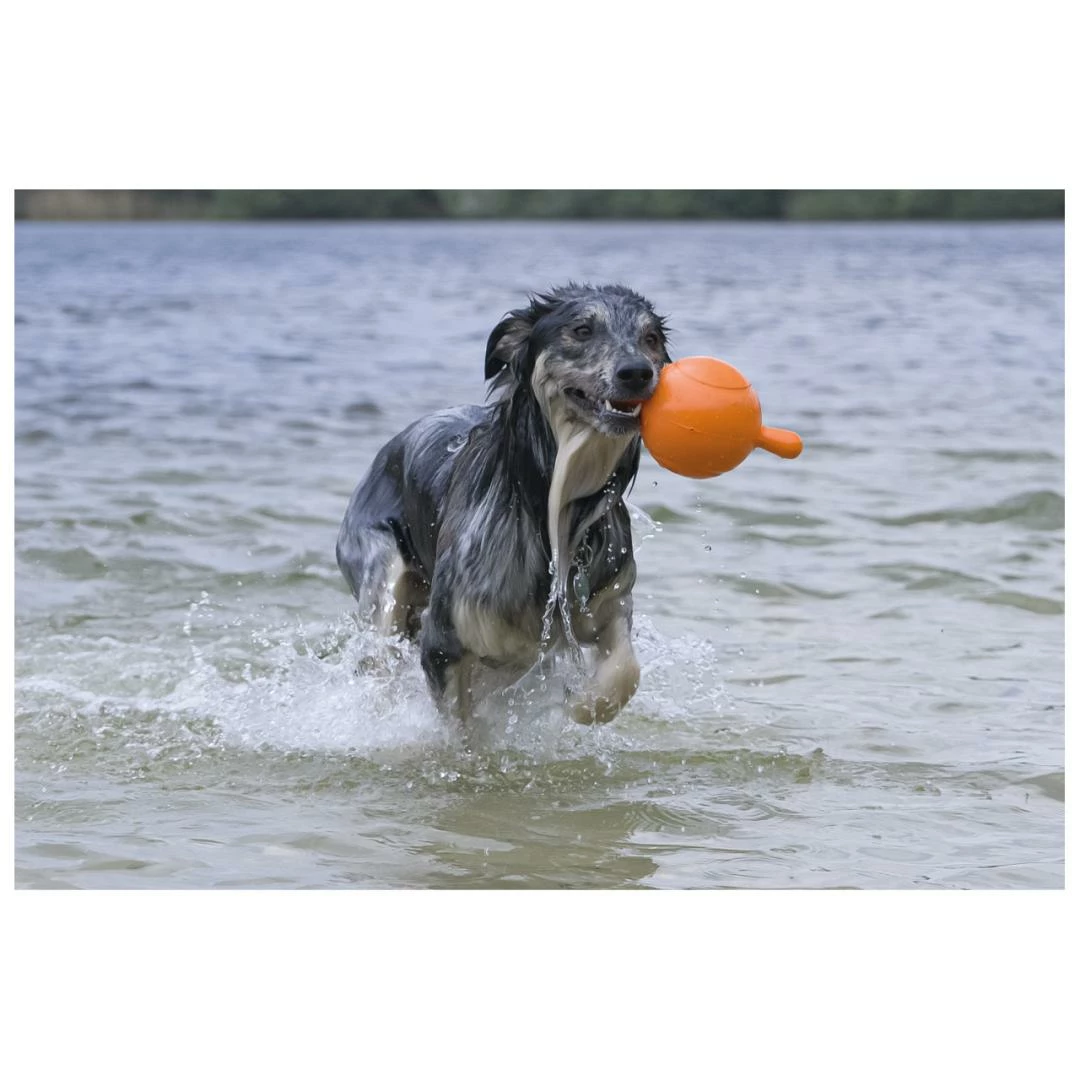 Beeztees Apportino Bal - Afbeelding 2