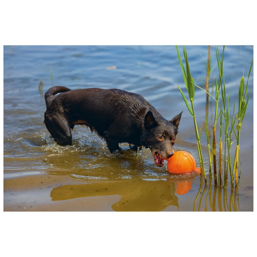 Beeztees Apportino Bal - Afbeelding 4