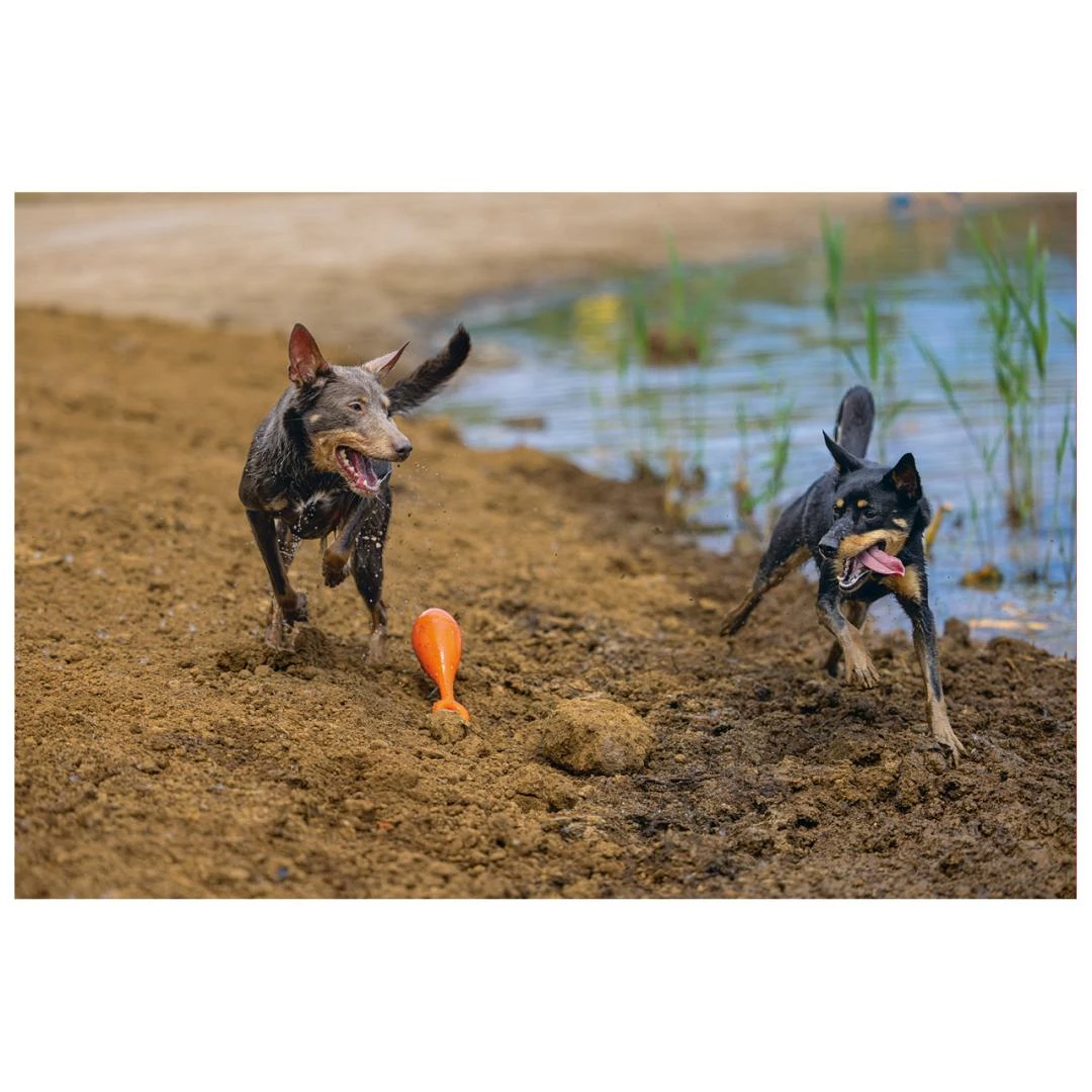 Beeztees Apportino Boei - Afbeelding 3