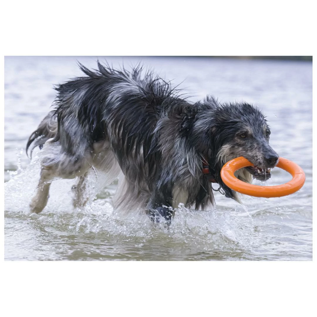 Beeztees Apportino Ring - Afbeelding 2