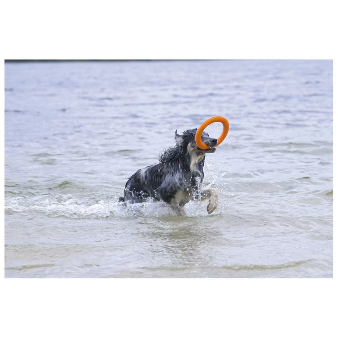 Beeztees Apportino Ring - Afbeelding 3