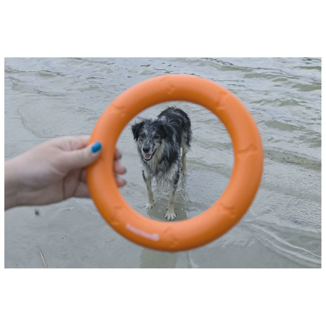 Beeztees Apportino Ring - Afbeelding 4