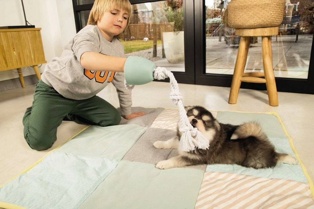 Beeztees Puppy Flostouw Pullina Groen - Afbeelding 4