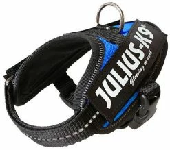 Julius K9 IDC Powerharness Blue