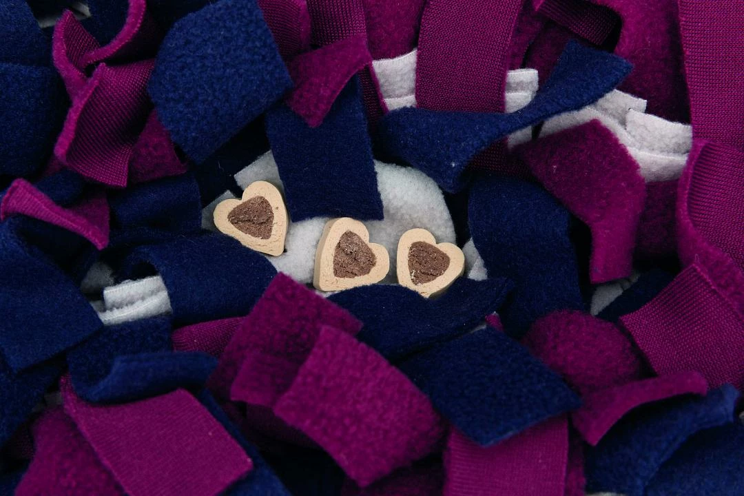 TRIXIE Dog Activity Snuffelmat - Afbeelding 2