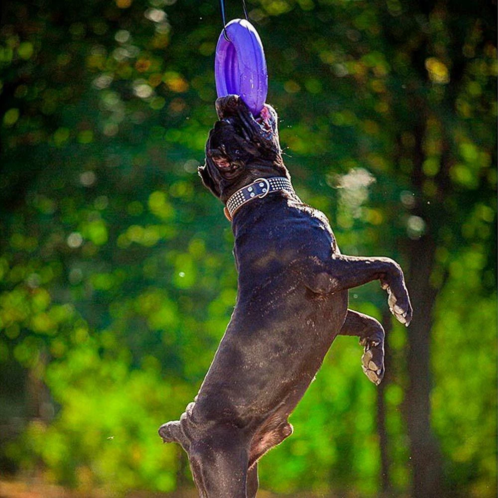 Ferplast Puller Maxi - Afbeelding 4