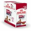 Royal Canin Hondenvoer Medium Ageing 10+ 10 X 140 Gr