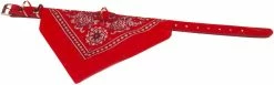 Boon Halsband Met Zakdoek Rood