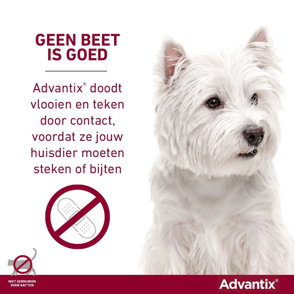 Advantix 400 4 Pipetten - Afbeelding 4