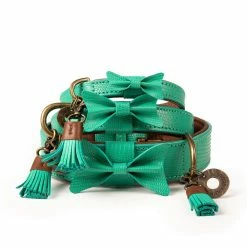 Dog With A Mission Halsband Boomer