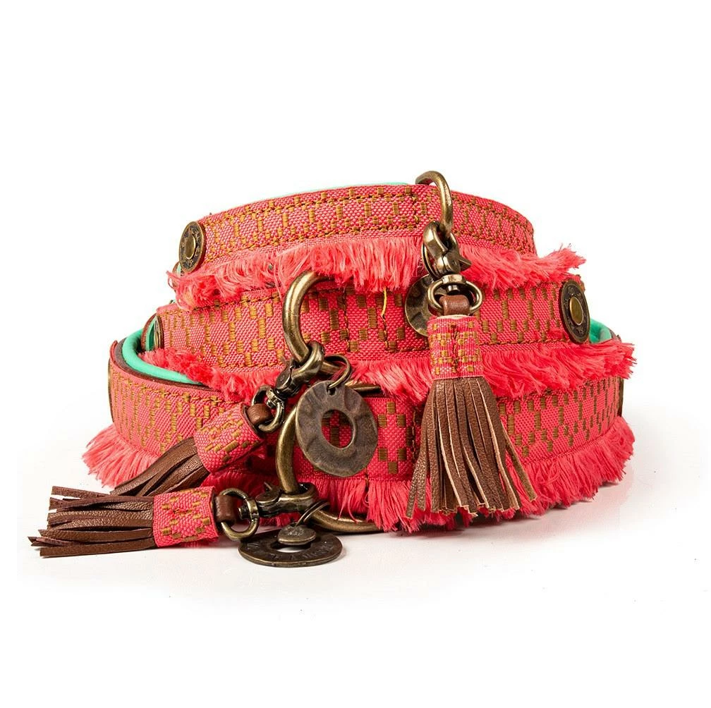 Dog With A Mission Halsband Holly