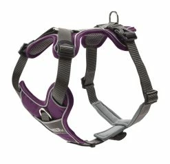 Hunter Hondentuig Divo Paars/Grijs