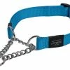 Rogz Beltz Utility Sliphalsband Turquoise
