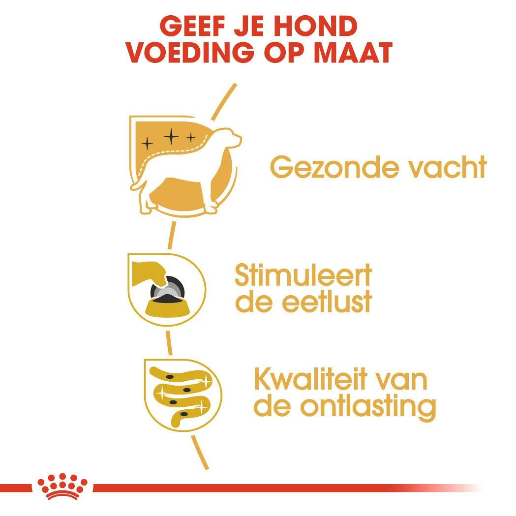 Royal Canin Hondenvoer Yorkshire Terrier Adult 12 X 85 Gr - Afbeelding 4