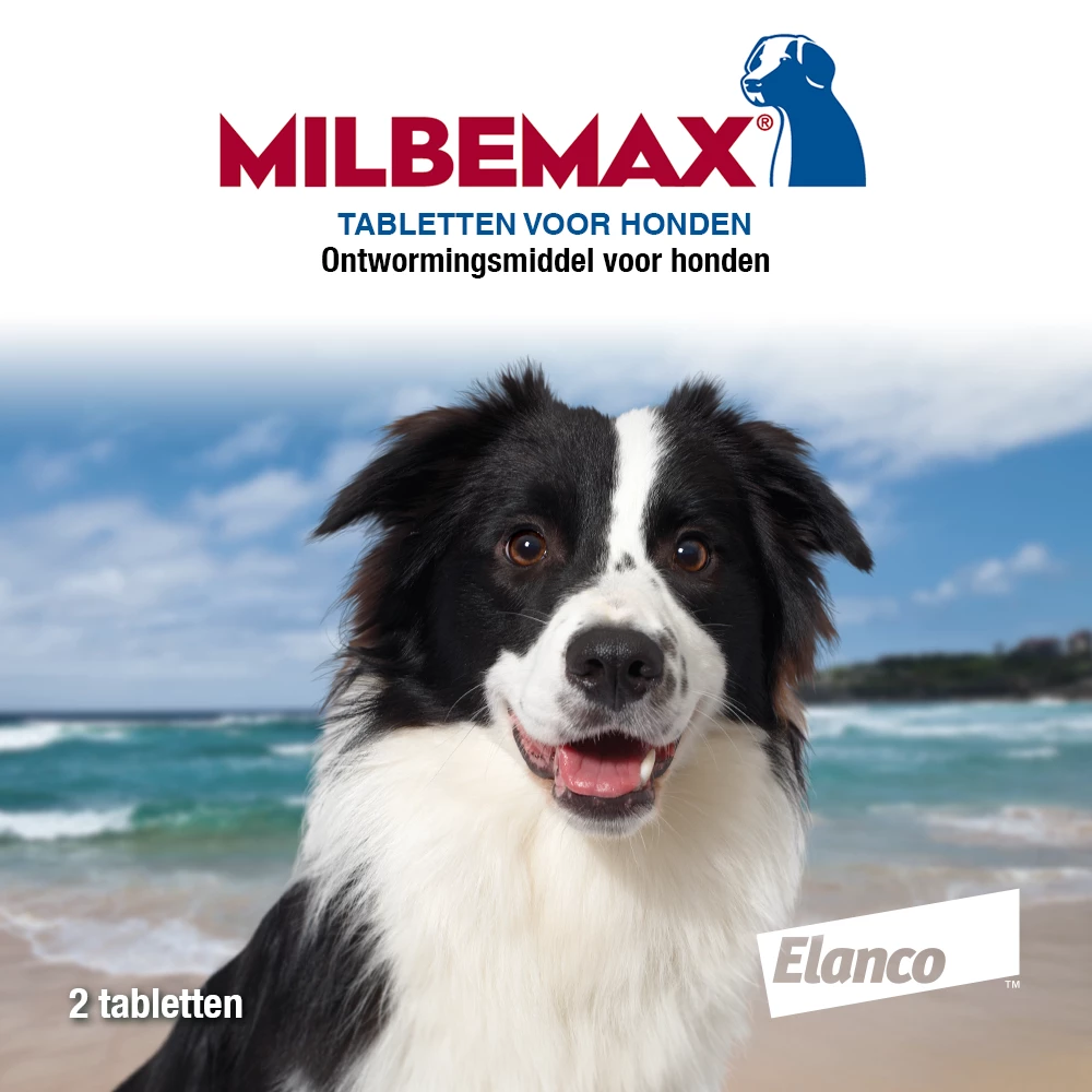 Milbemax Tabletten Hond 10 - 50 Kg 2 St - Afbeelding 2