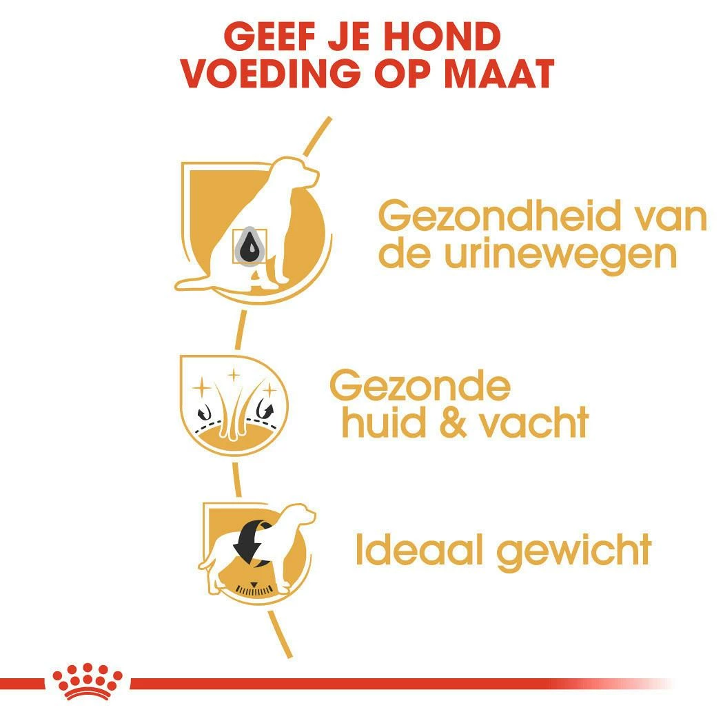 Royal Canin Hondenvoer Bichon Frise Adult 1,5 Kg - Afbeelding 3