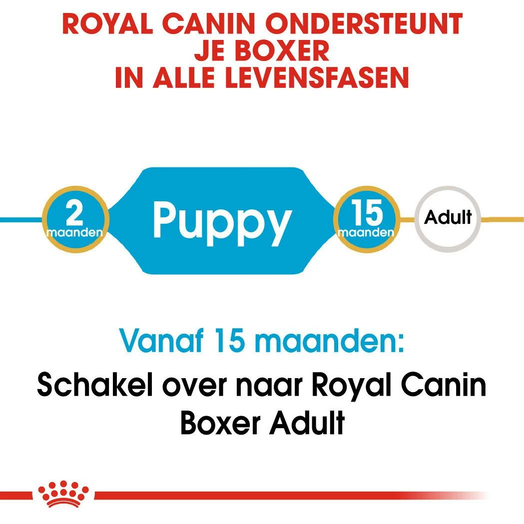 Royal Canin Hondenvoer Boxer Puppy 12 Kg - Afbeelding 4