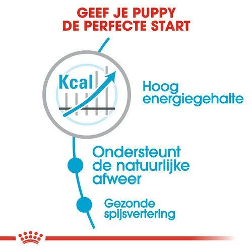 Royal Canin Hondenvoer Maxi Puppy Active 15 Kg - Afbeelding 3