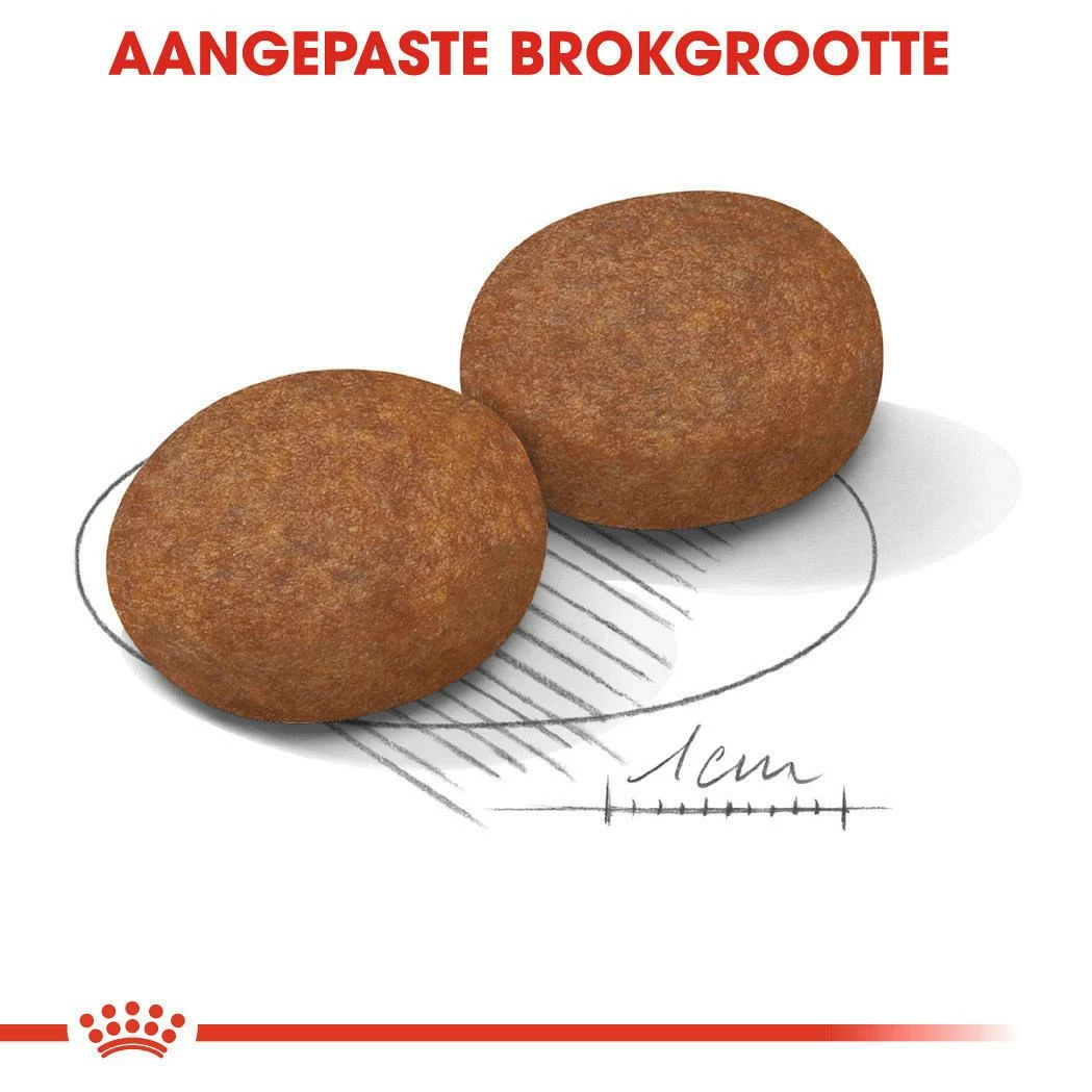 Royal Canin Hondenvoer Medium Adult 7+ 10 Kg - Afbeelding 2