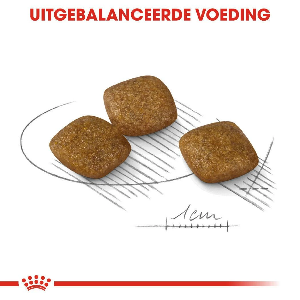 Royal Canin Hondenvoer Relax Care Mini 3 Kg - Afbeelding 2